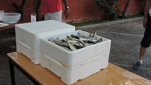 2023 07 22 TOULON SARDINADE (15)